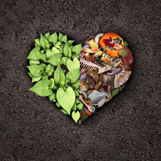 Why does Composting Matter?