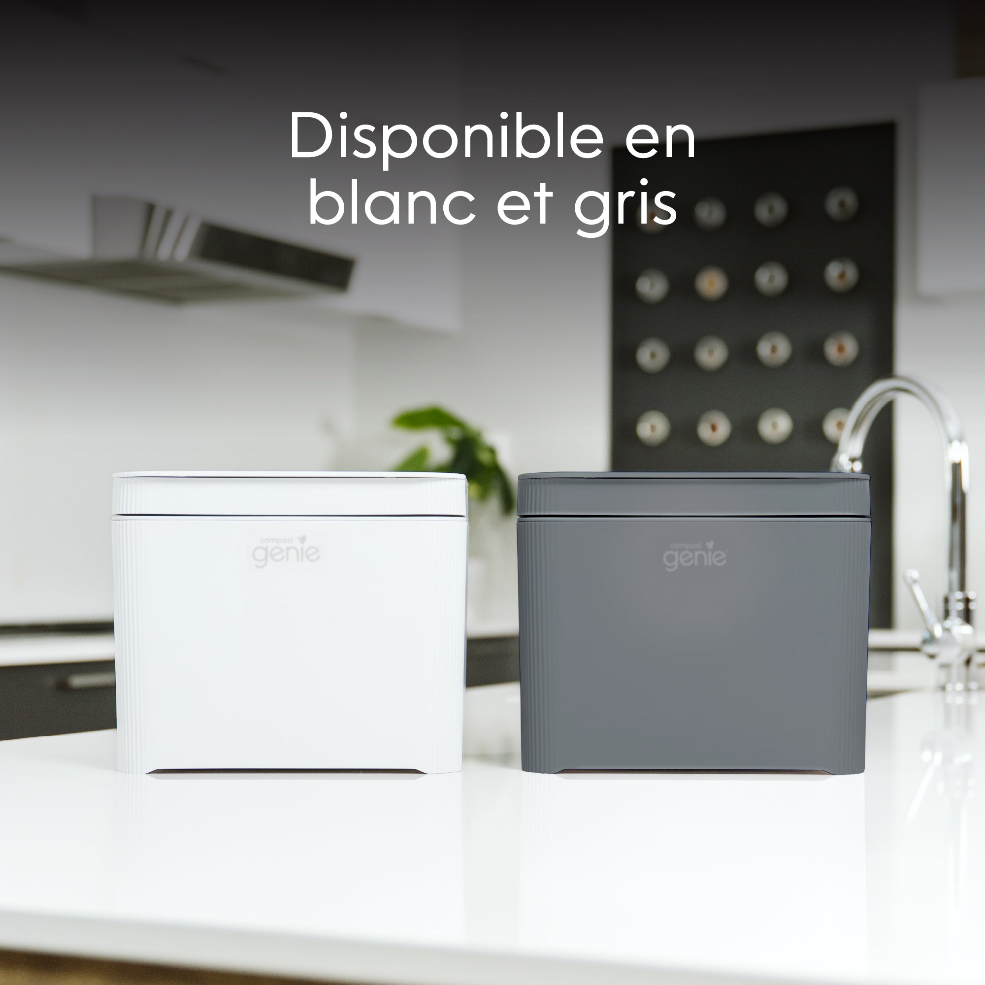 Two kitchen storage containers, one white and one gray, on a kitchen counter with text indicating color availability_FR-FR